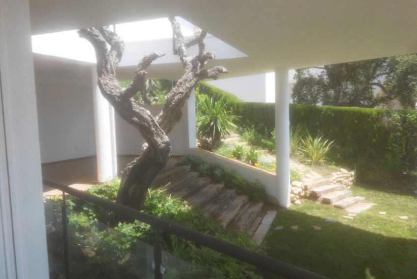 Detached-Moderne-Villa-Elviria-Marbella-treefeature