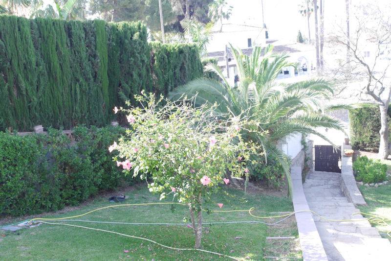 Villa-til-salg-i-Elviria-Marbella-garden2